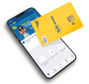 Smartphone and Bisa Card